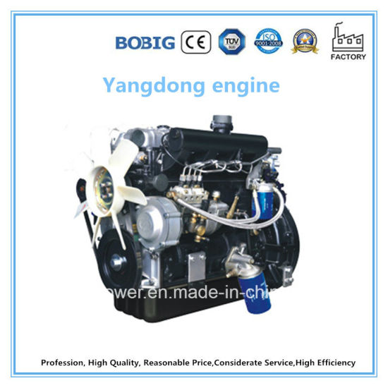 12.5kVA Diesel Generator Powered by Chinese Yangdong Engine