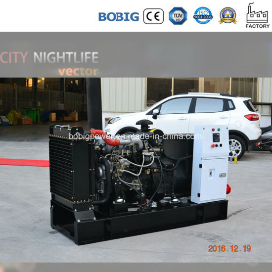 20kVA Diesel Generator Powered by Yangdong Engine